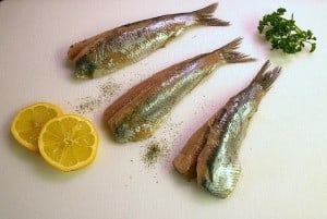 jak kupić świeżą rybę, jak wygląda świeża ryba, gdzie kupować ryby, ryby najzdrowsze, świeża ryba oczy, świeża ryba skrzela, świeża ryba sk&oacute;ra, ryby szkodliwe dla zdrowia 