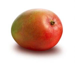 Jak wyhodować mango w doniczce Jak wyhodować mango w doniczce