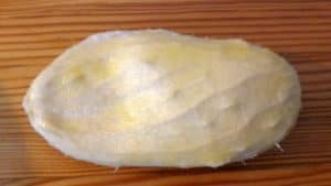 Jak wyhodować mango w doniczce Jak wyhodować mango w doniczce