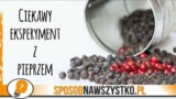 Eksperymenty dla dzieci – MAGICZNY PALEC