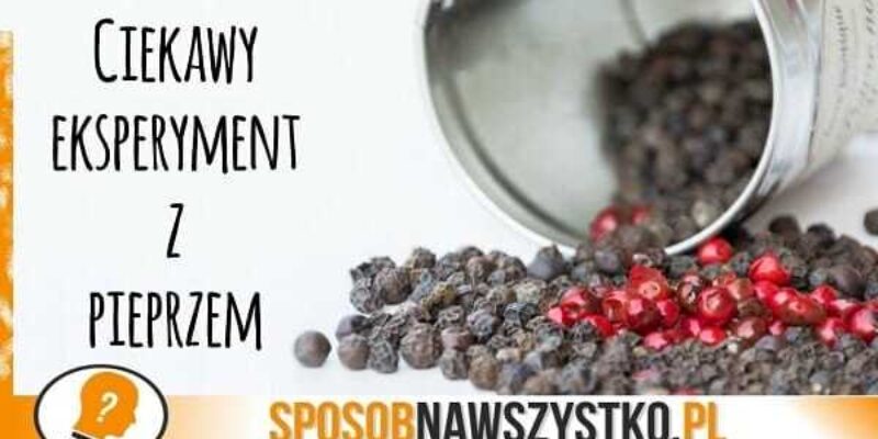 Eksperymenty dla dzieci – MAGICZNY PALEC