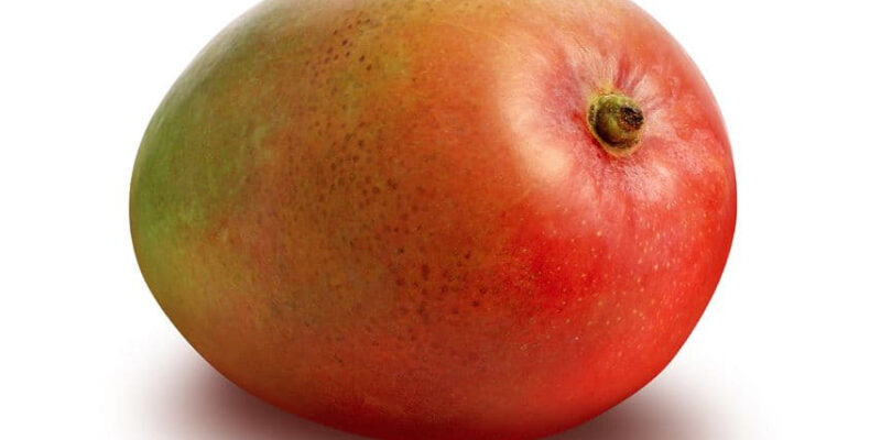 Jak wyhodować mango w doniczce