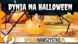 Dynia na Halloween – Pająk z dyni
