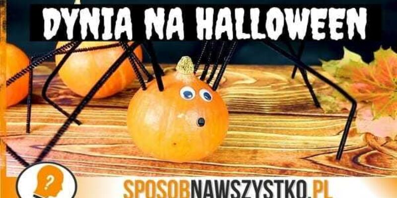 Dynia na Halloween – Pająk z dyni