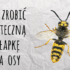Jak radzić sobie z zaparciami w ciąży?